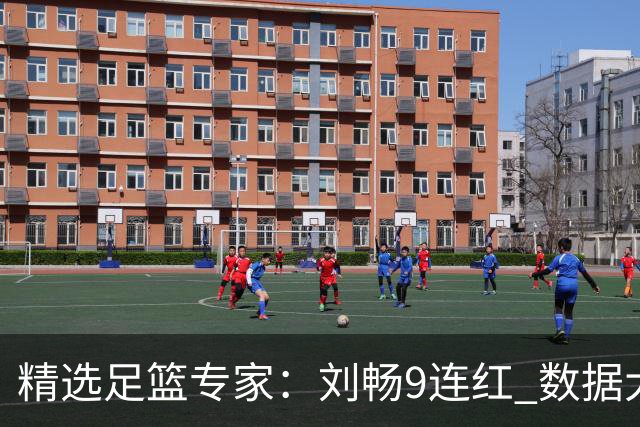 精选足篮专家：刘畅9连红 数据大师、老将推球8连红